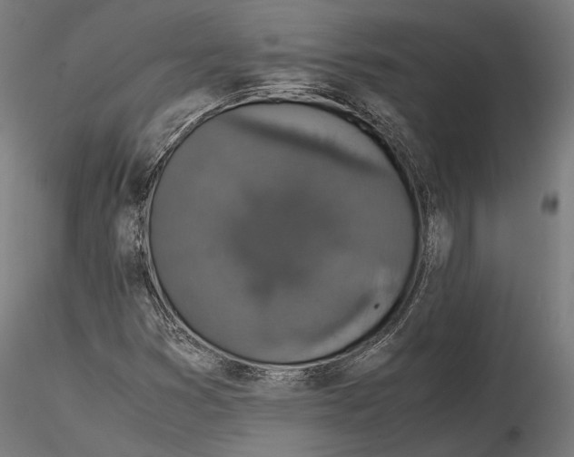 X0000116001353200912101307