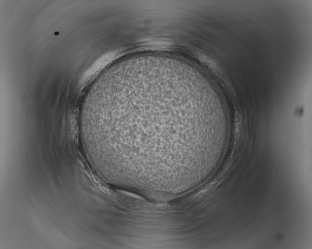 X0000116001354200912101307