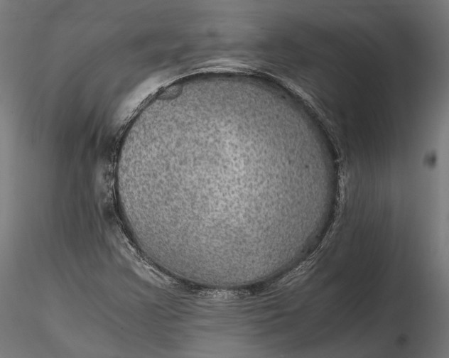 X0000116001355200912101307