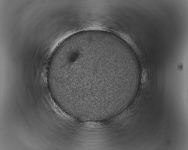 X0000116001356200912101307