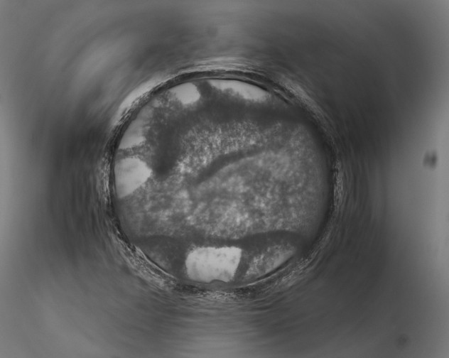 X0000116001358200912101307