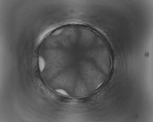 X0000116001359200912101307