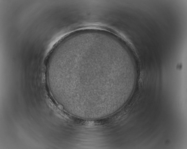 X0000116001360200912101307