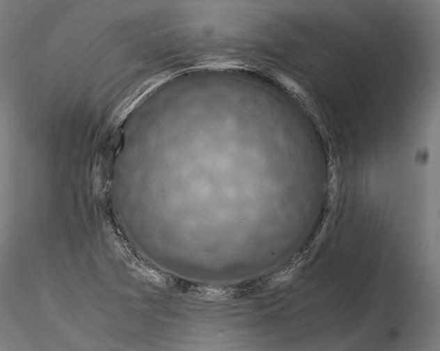 X0000116001361200912101307