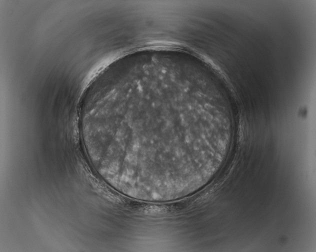 X0000116001362200912101307