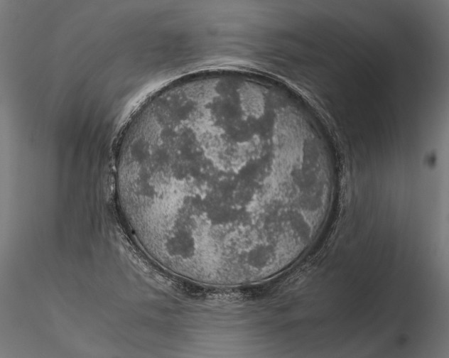 X0000116001363200912101307