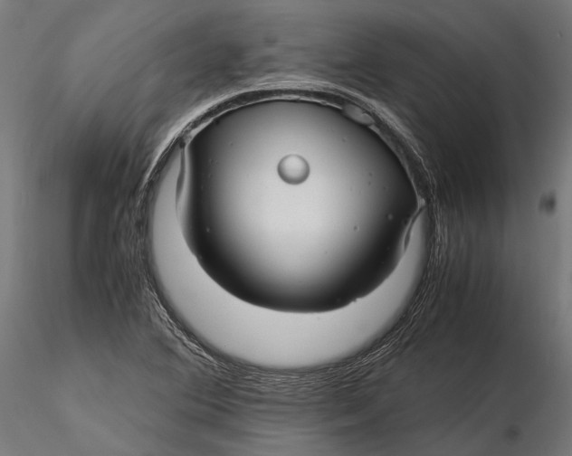 X0000116001364200912101307