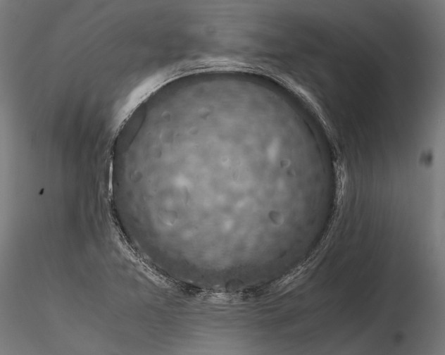 X0000116001365200912101307