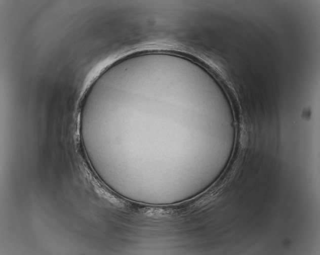 X0000116001366200912101307