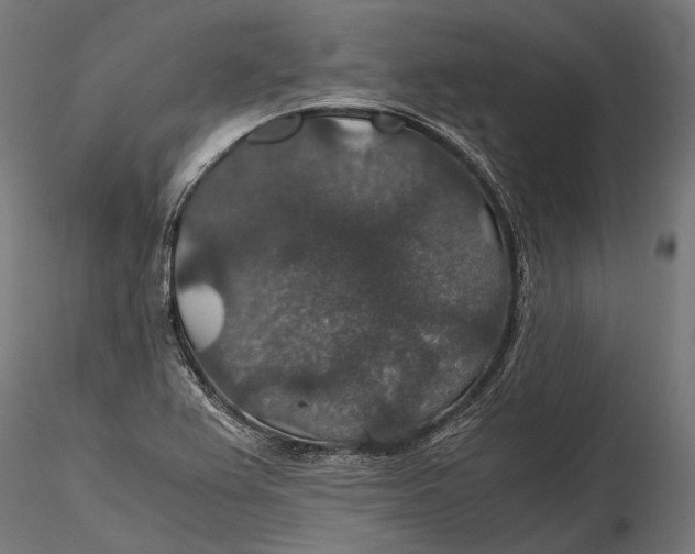 X0000116001367200912101307