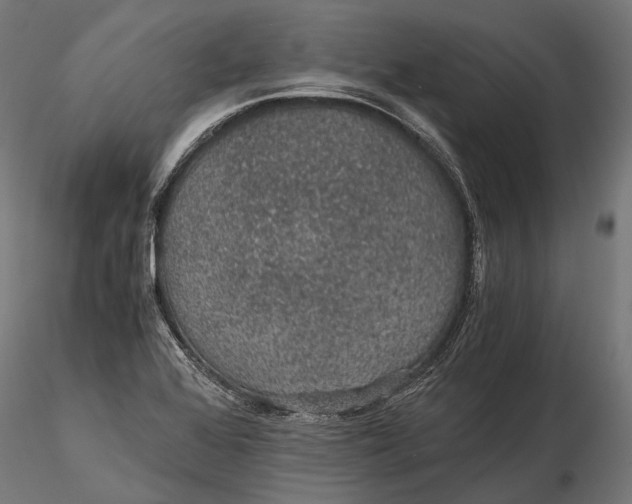 X0000116001368200912101307