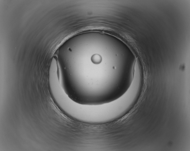 X0000116001369200912101307