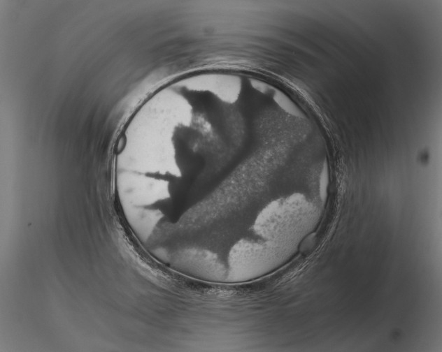 X0000116001371200912101307