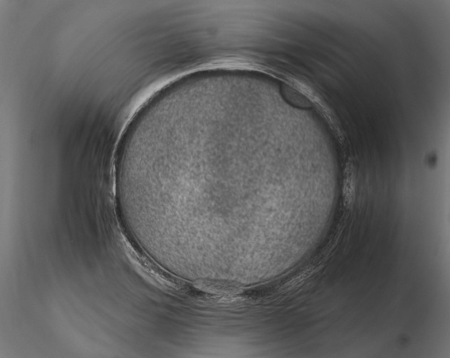 X0000116001372200912101307