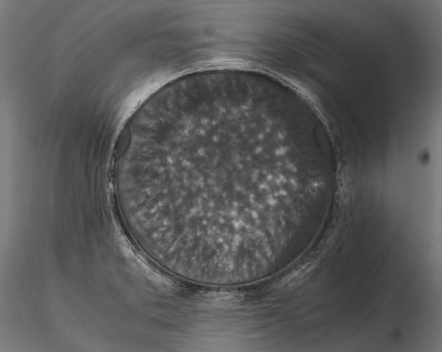 X0000116001373200912101307