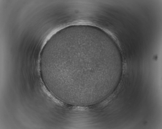 X0000116001374200912101306