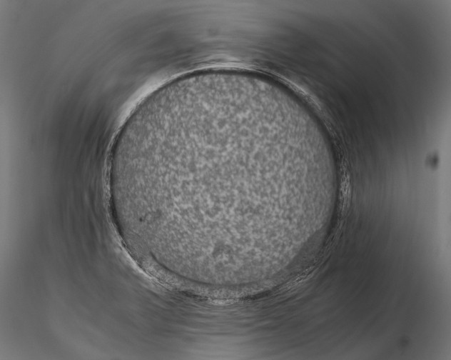 X0000116001375200912101306