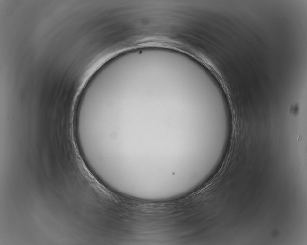 X0000116001376200912101306