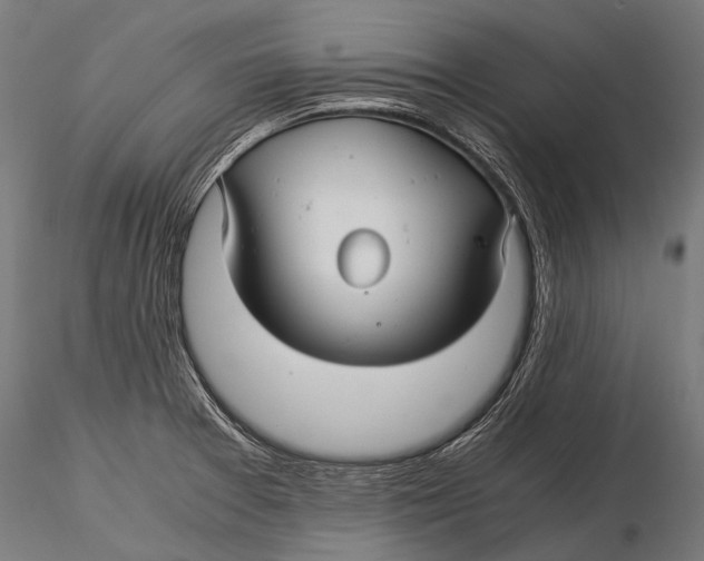 X0000116001377200912101306