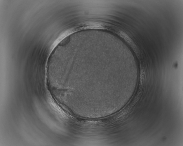 X0000116001378200912101306