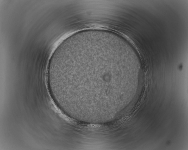 X0000116001379200912101306