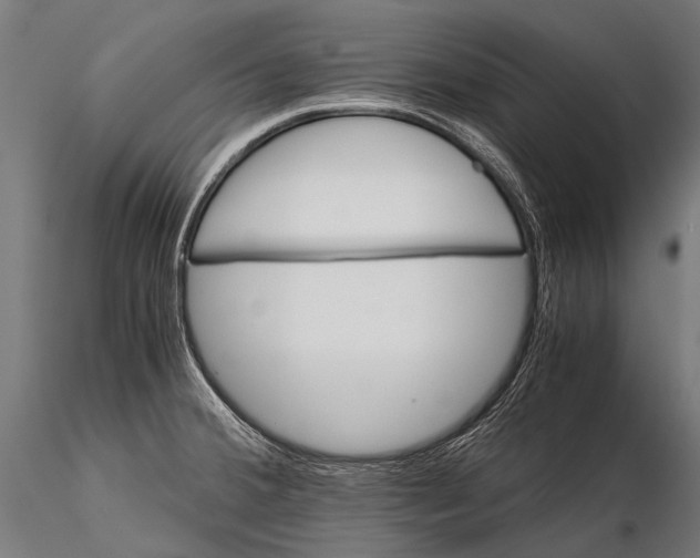 X0000116001380200912101306