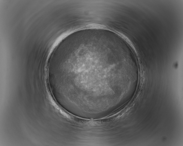 X0000116001381200912101306