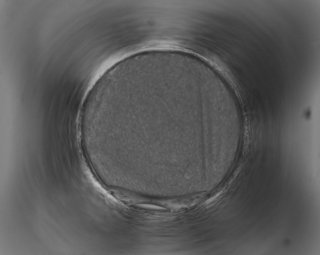 X0000116001382200912101306