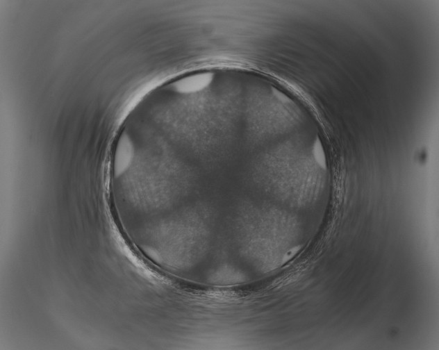 X0000116001383200912101306