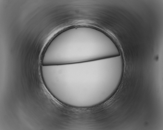 X0000116001384200912101306