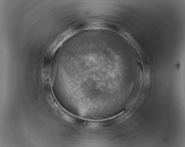 X0000116001385200912101306