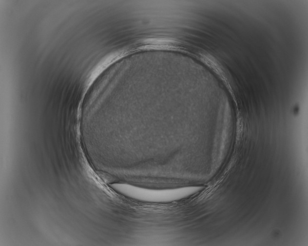 X0000116001386200912101306