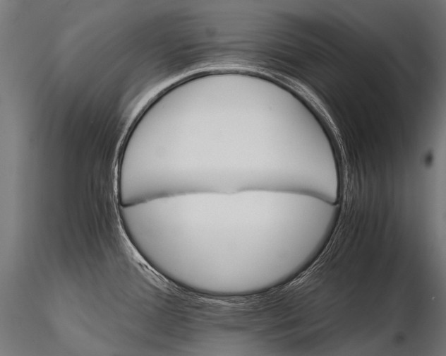 X0000116001388200912101306