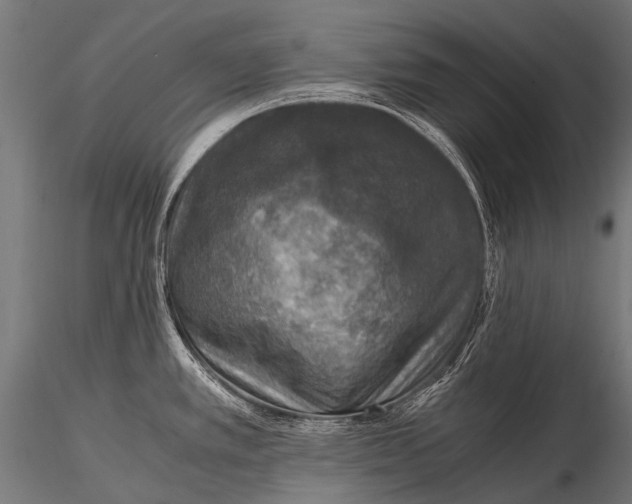 X0000116001389200912101306