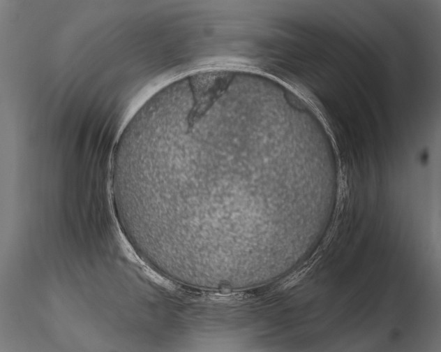 X0000116001390200912101306