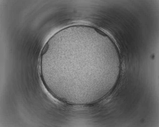 X0000116001391200912101306