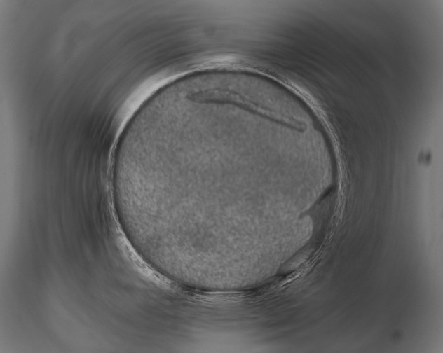 X0000116001392200912101306