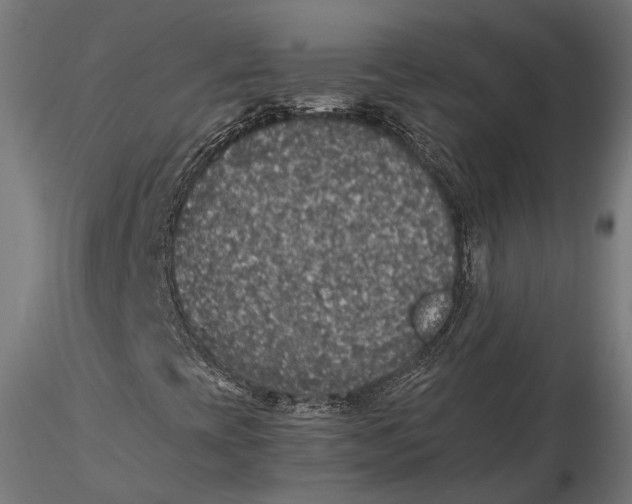 X0000116001393200912101305