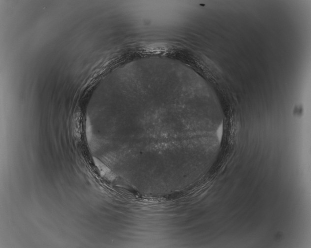 X0000116001394200912101305