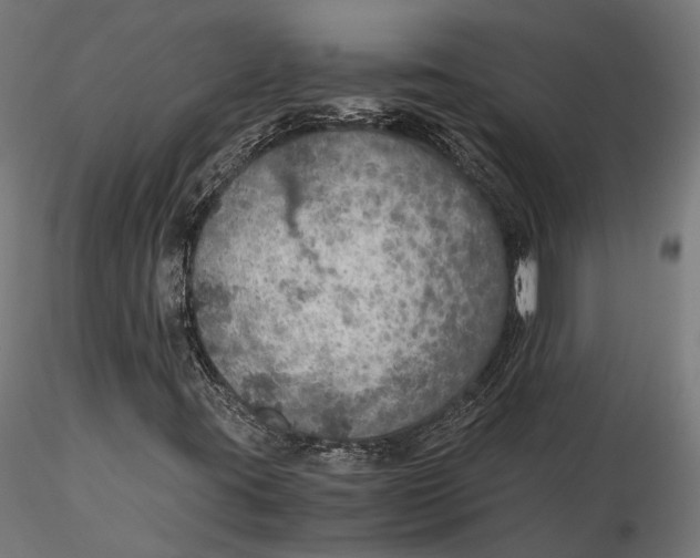 X0000116001395200912101305