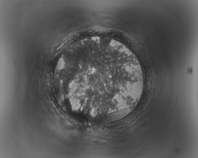 X0000116001397200912101305