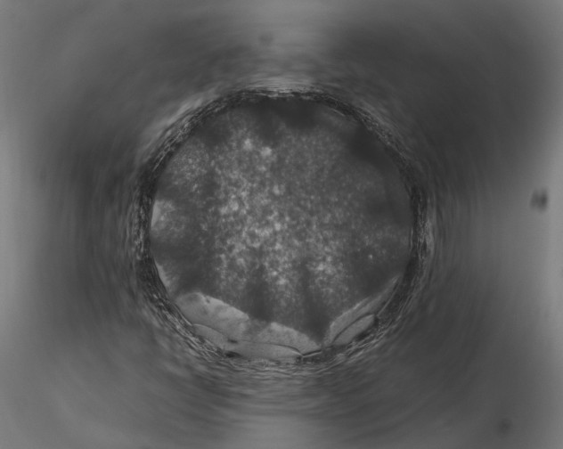 X0000116001398200912101305