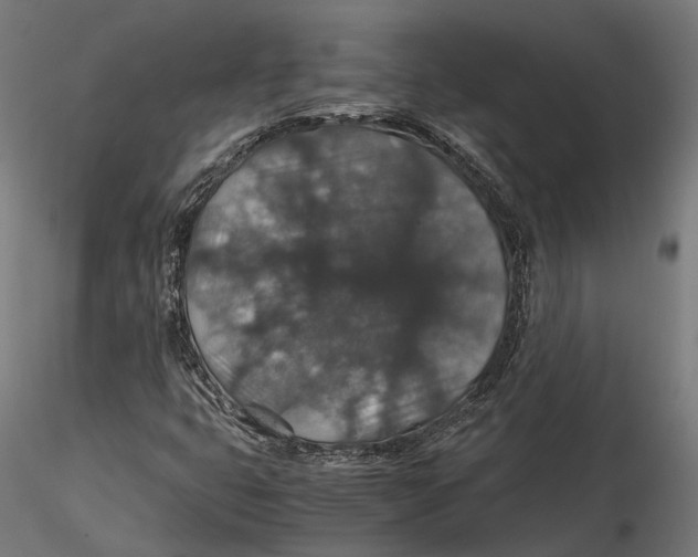 X0000116001399200912101305