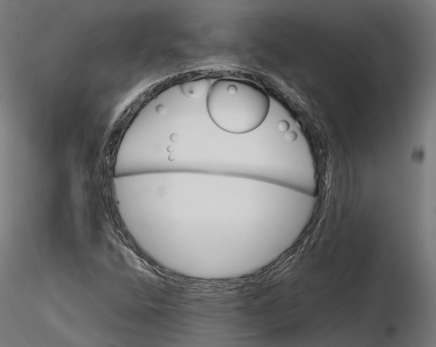 X0000116001400200912101305