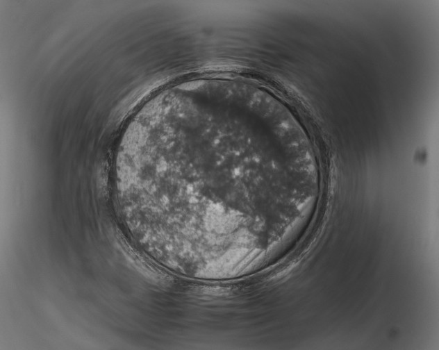 X0000116001401200912101305