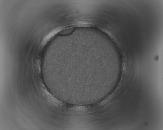 X0000116001402200912101305