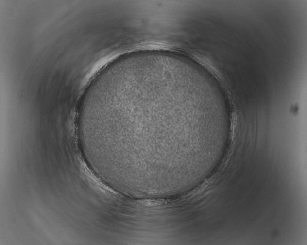 X0000116001404200912101306