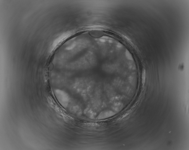 X0000116001405200912101306