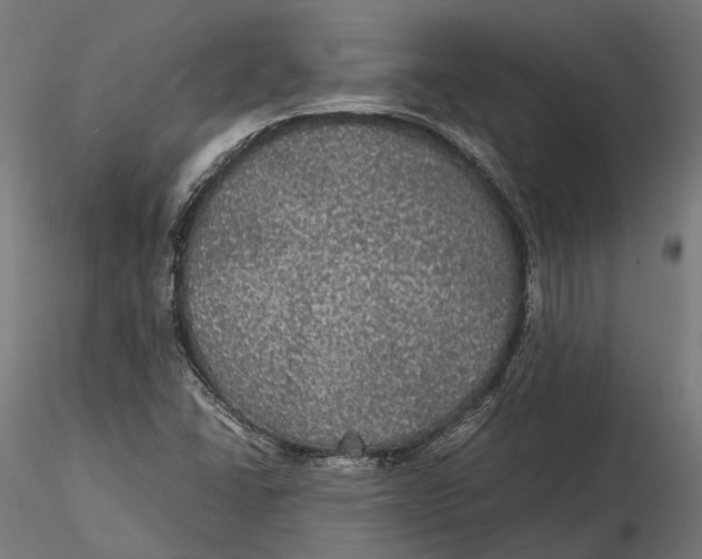 X0000116001406200912101306