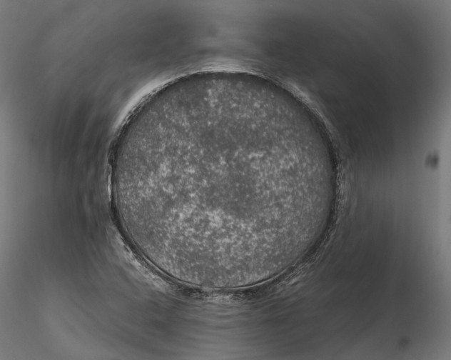 X0000116001408200912101306